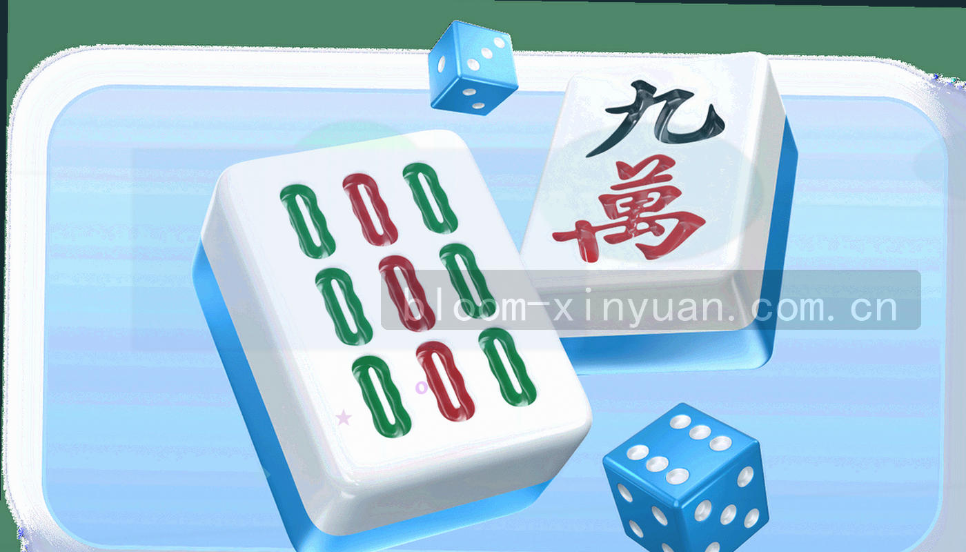 左右并排的两块设置面板示意图，中线为暖金虚线，四角有等宽字体版本标签